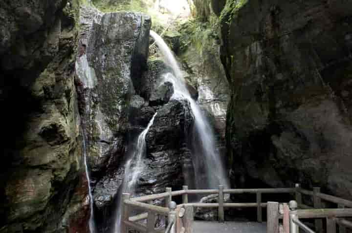 �J���̑�E�W�]�䂩��